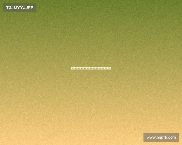 追寻世界杯梦想的脚步：从草根球员到全球舞台的精彩征程